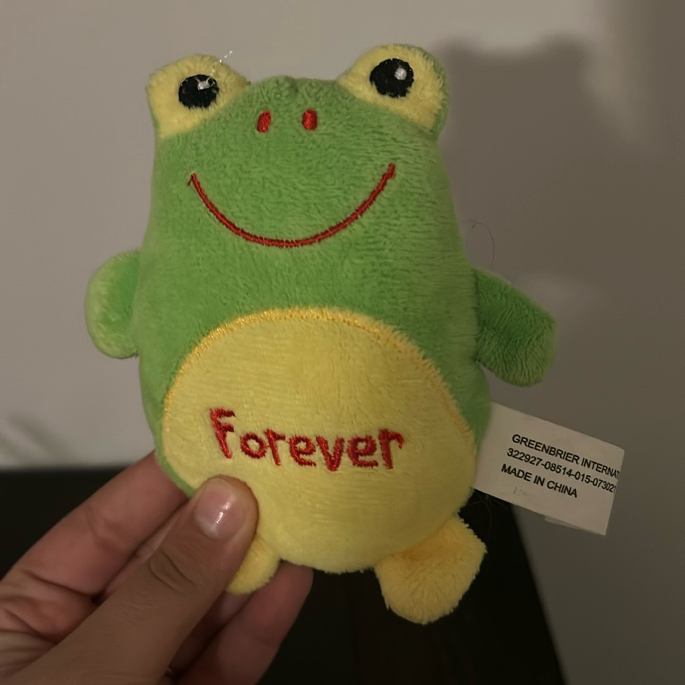 Cute forever frog plushie USED